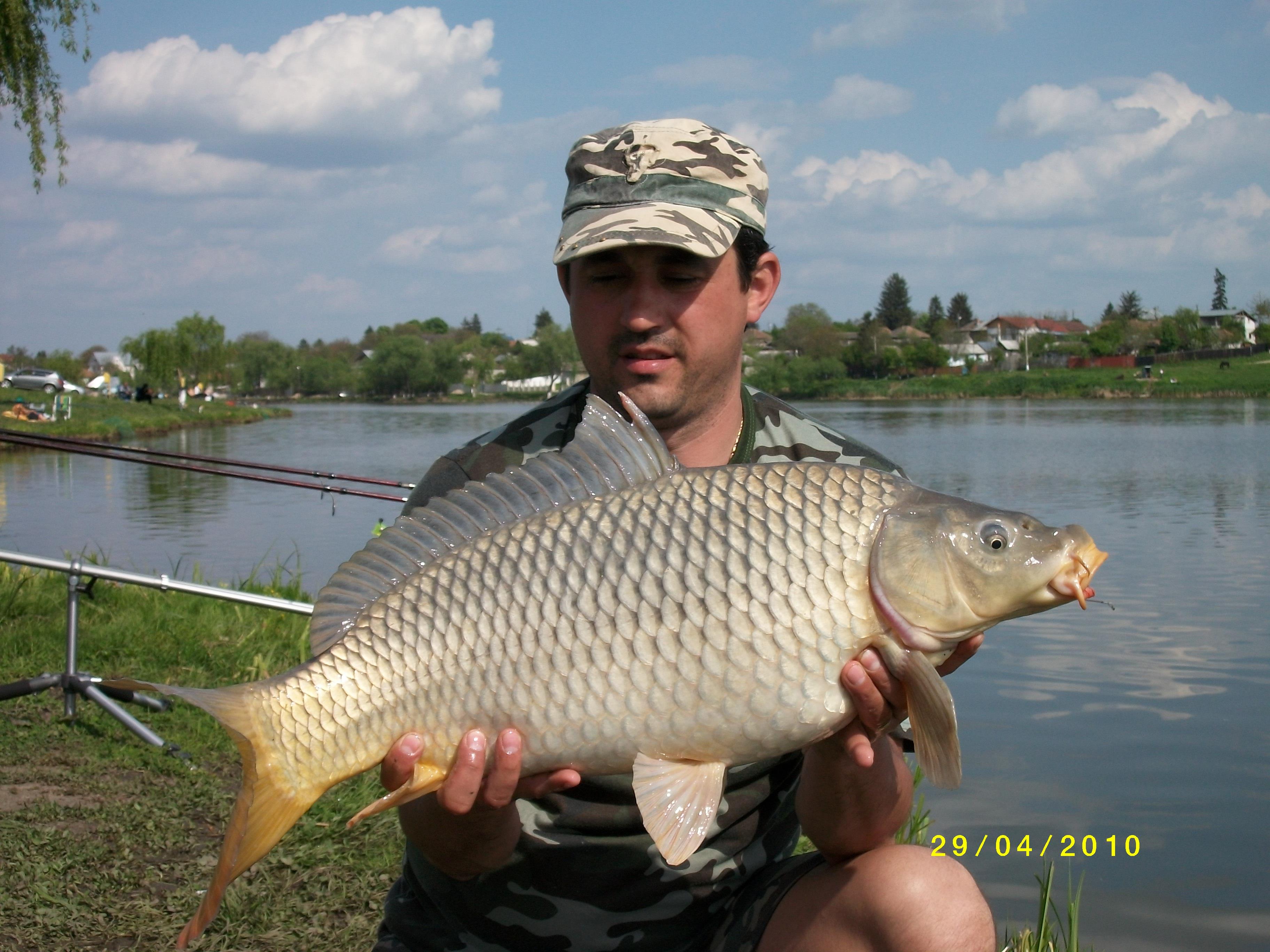 Moara Vlasiei 2 27 - 29 apr.2010 - MD001006.JPG